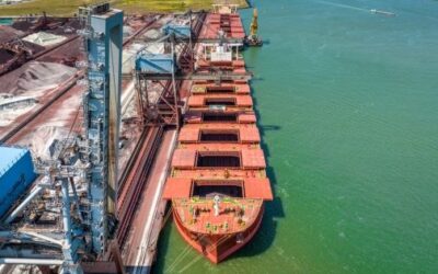 Australia – Capesize (>100k dwt) PSC Intelligence for CY 2024